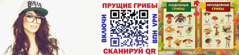 Галлюциногенные грибы Cubensis  MEGA   Ковров  цены наркотик 